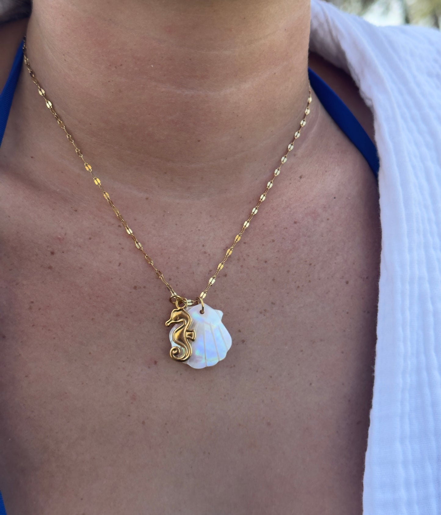 Seahorse Shell Necklace