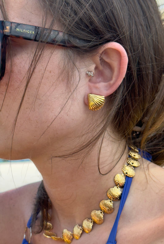 Stud Shell Earring