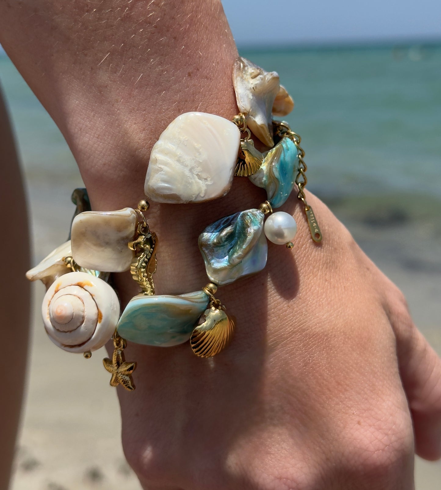 Shell Bracelet