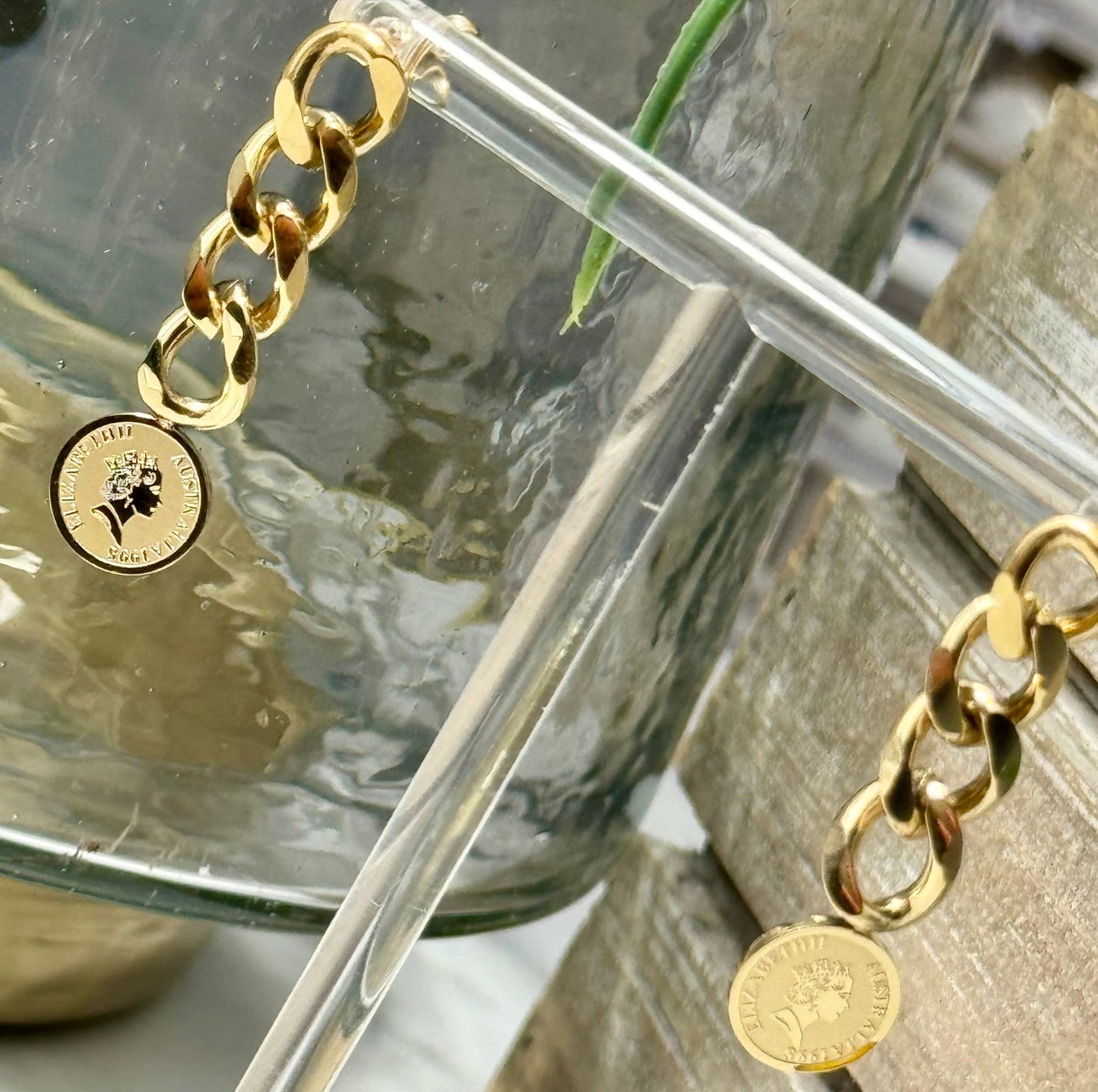 Thick chain earrings with coin - Figi Jewels