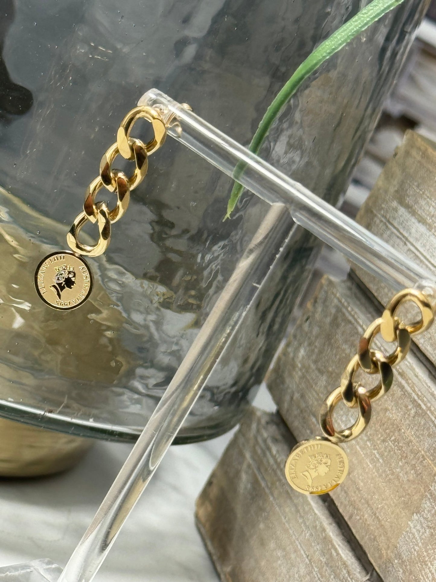 Thick chain earrings with coin - Figi Jewels